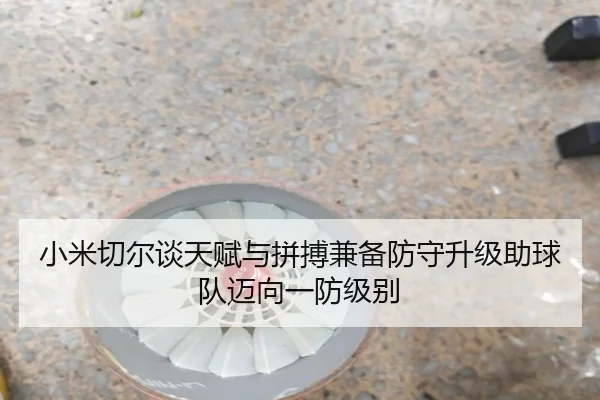 小米切尔谈天赋与拼搏兼备防守升级助球队迈向一防级别